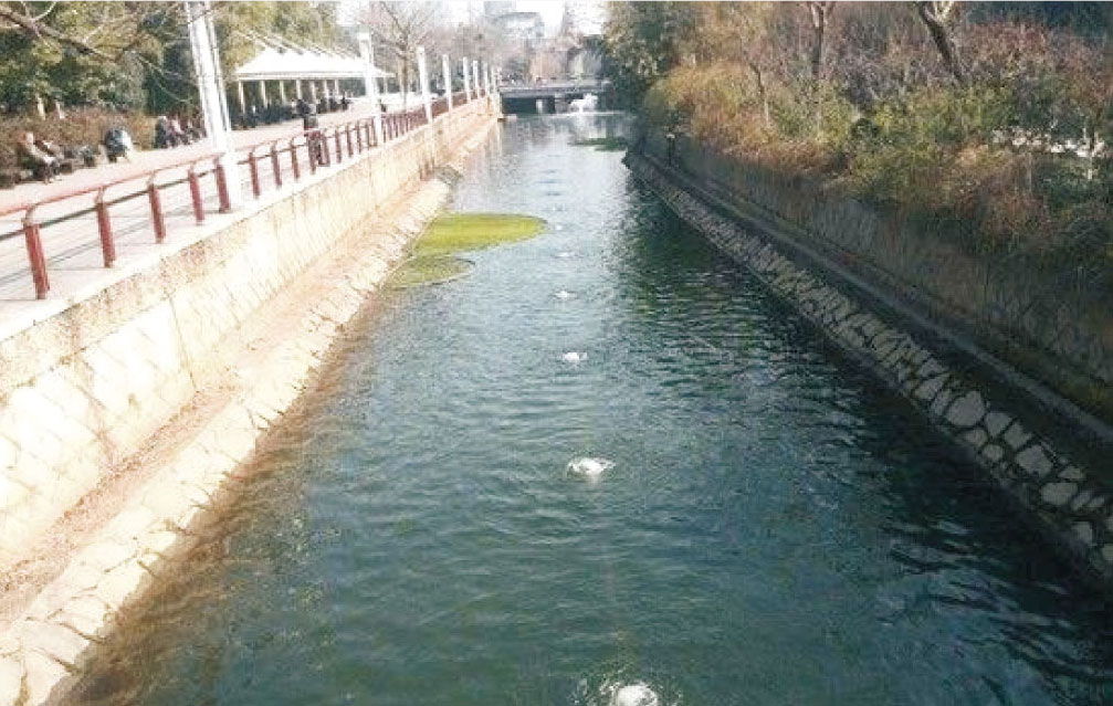 WATER ECOLOGICAL RESTORATION TECHNOLOGY WATER ECOLOGICAL RESTORATION TECHNOLOGY